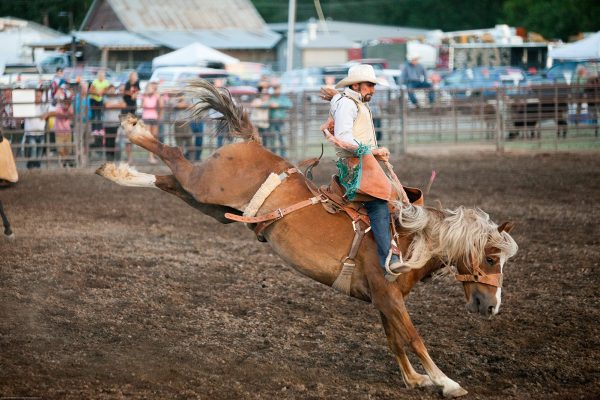 man riding horse at the rodeo