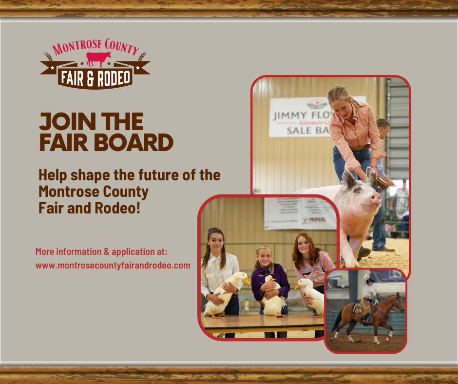 Graphic encouraging people to apply for the Fair Board