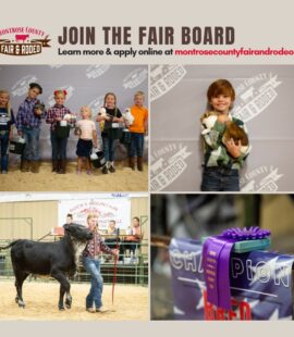 Graphic with photos of fair kids and their animals