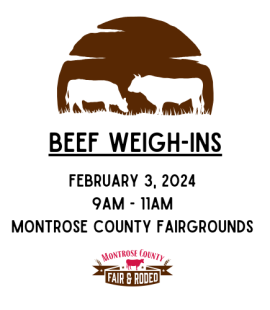 Beef Weigh Ins February 3, 2024 9AM to 11AM at the Montrose County Fairgrounds