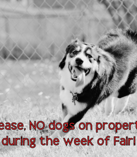 Please, no dogs on property during the week of Fair!