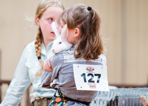 fair participant holding a bunny